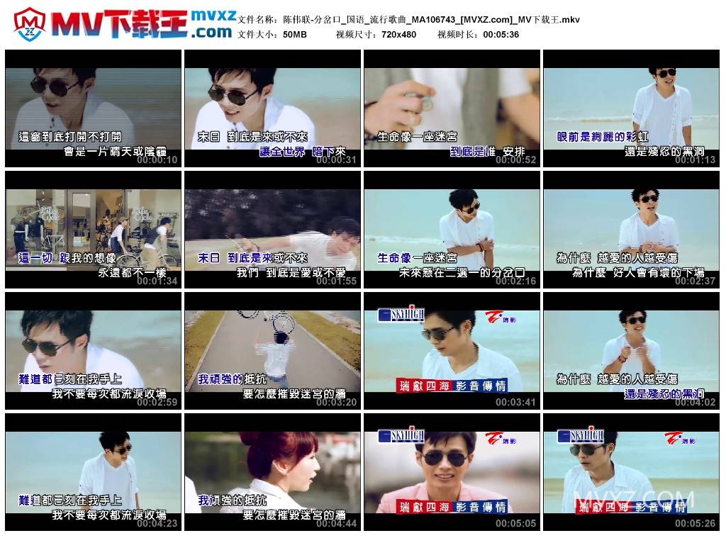 陈伟联-分岔口_国语_流行歌曲_MA106743